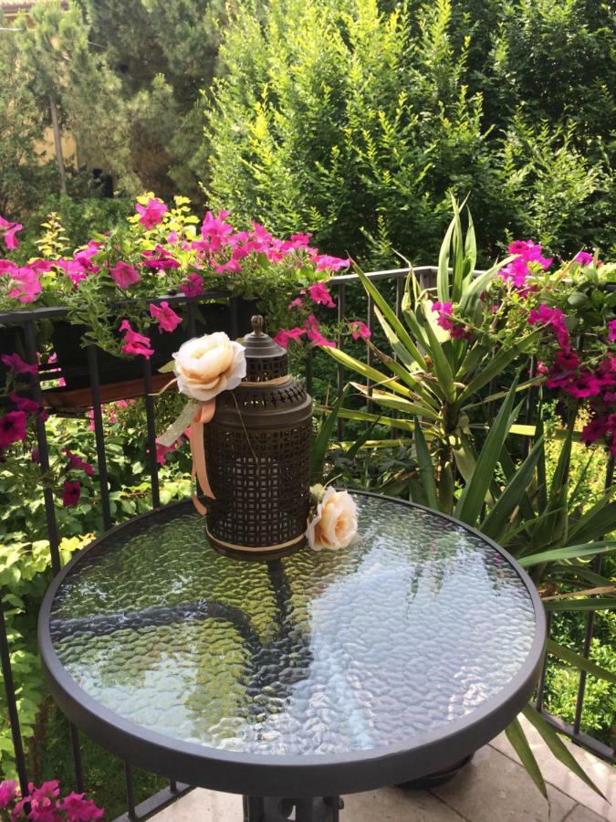 Bed & Breakfast Canova Treviso Bagian luar foto